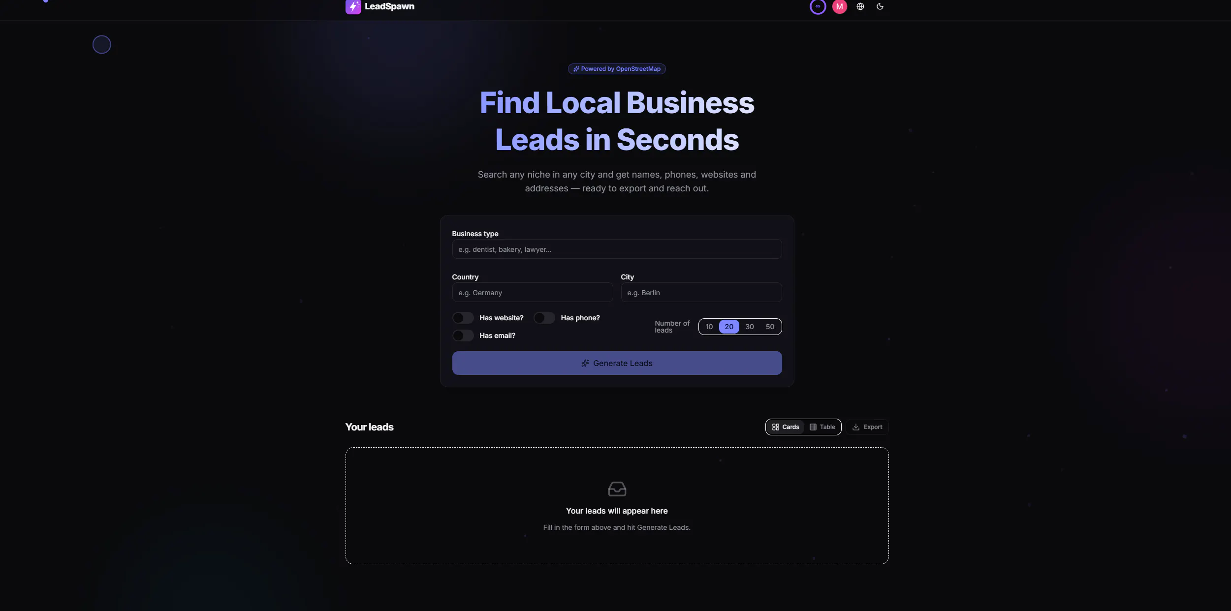 LeadSpawn — Business Leads in Seconds gallery image