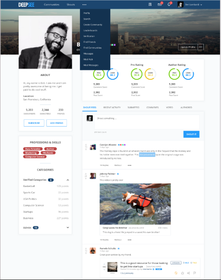 DeepSee gallery image