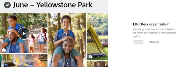 AIDOBE - PTS Elements & Premiere 2023 gallery image