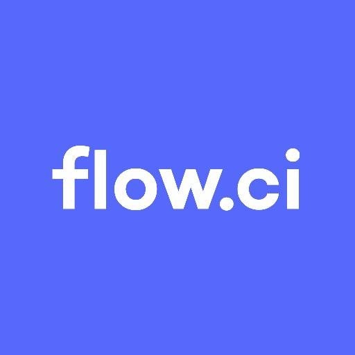 flow.ci gallery image