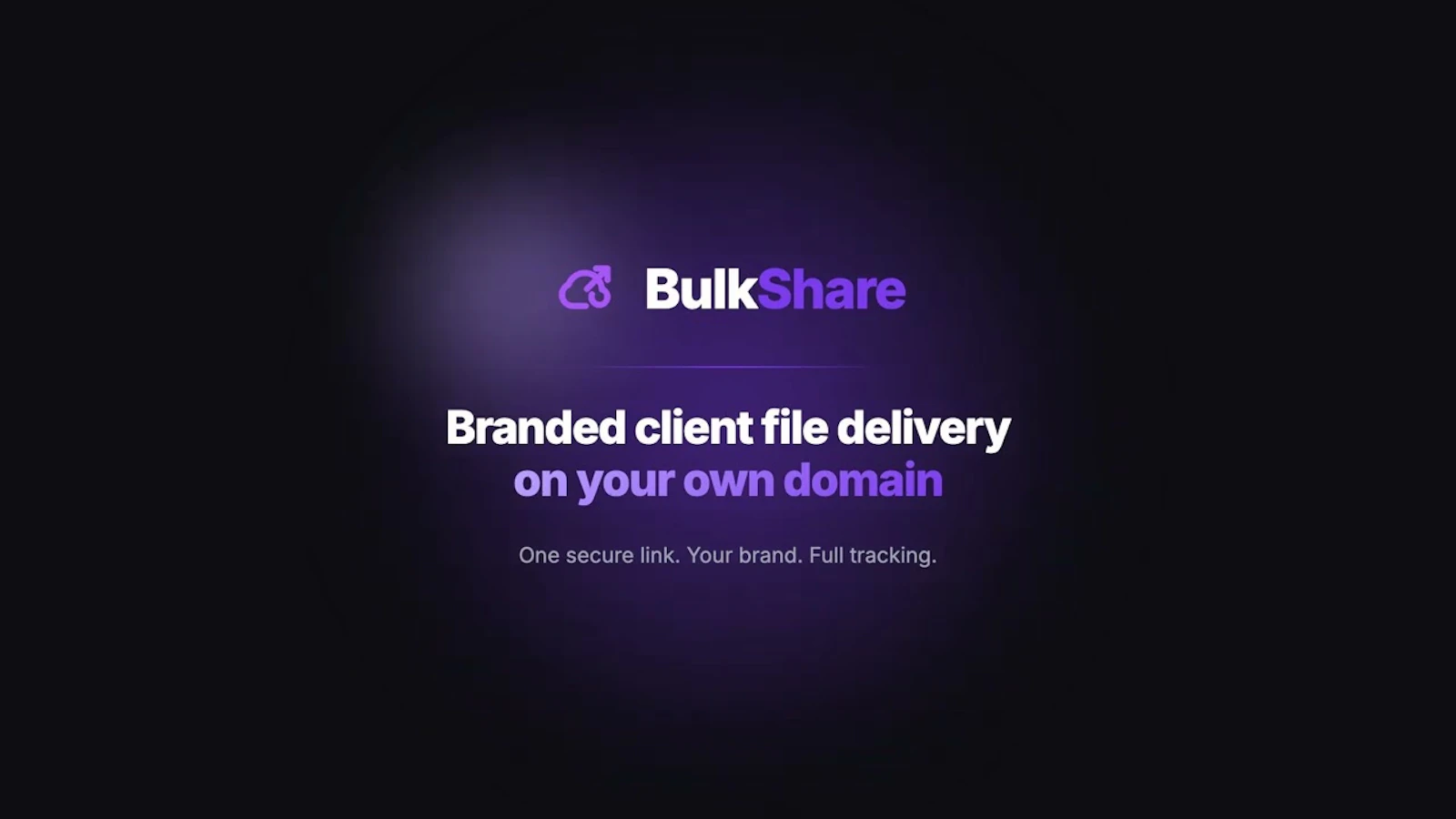 bulkshare.cloud screenshot 1 (video preview)