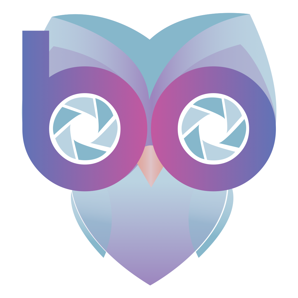 Bubo - AR Social Network