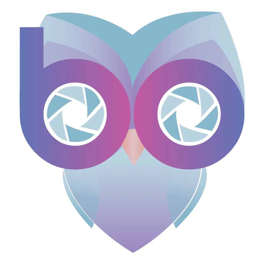 Bubo - AR Social Network