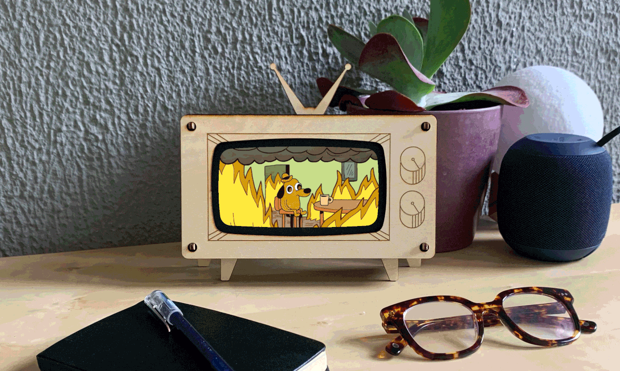 Cat GIF TV Image