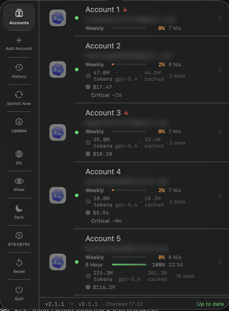 CodexSwitcher 2.1 gallery image