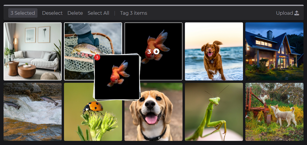 ImageSorter.io media 1