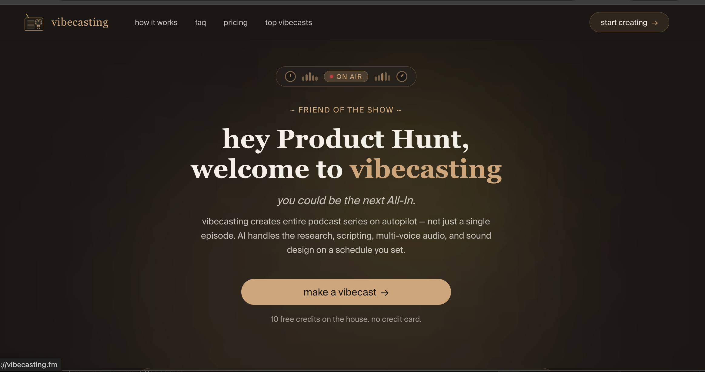 vibecasting gallery image