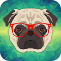 Dog Training : 101