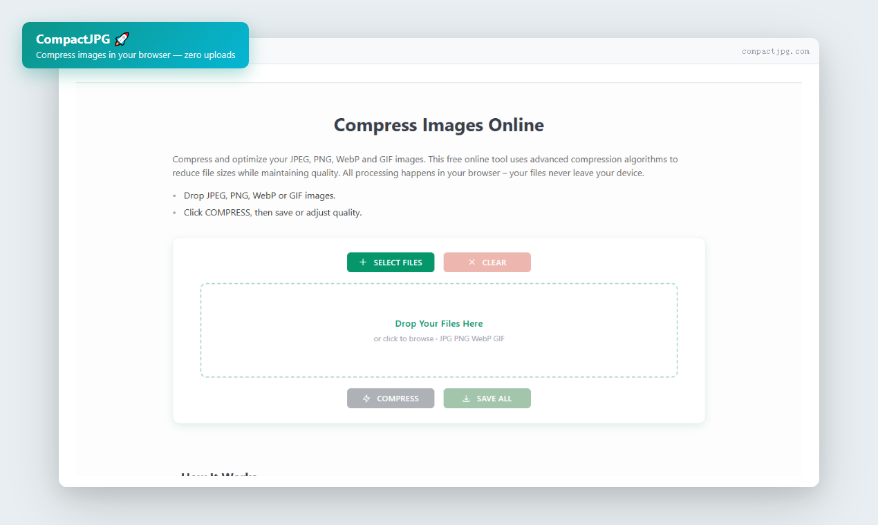 CompactJPG gallery image