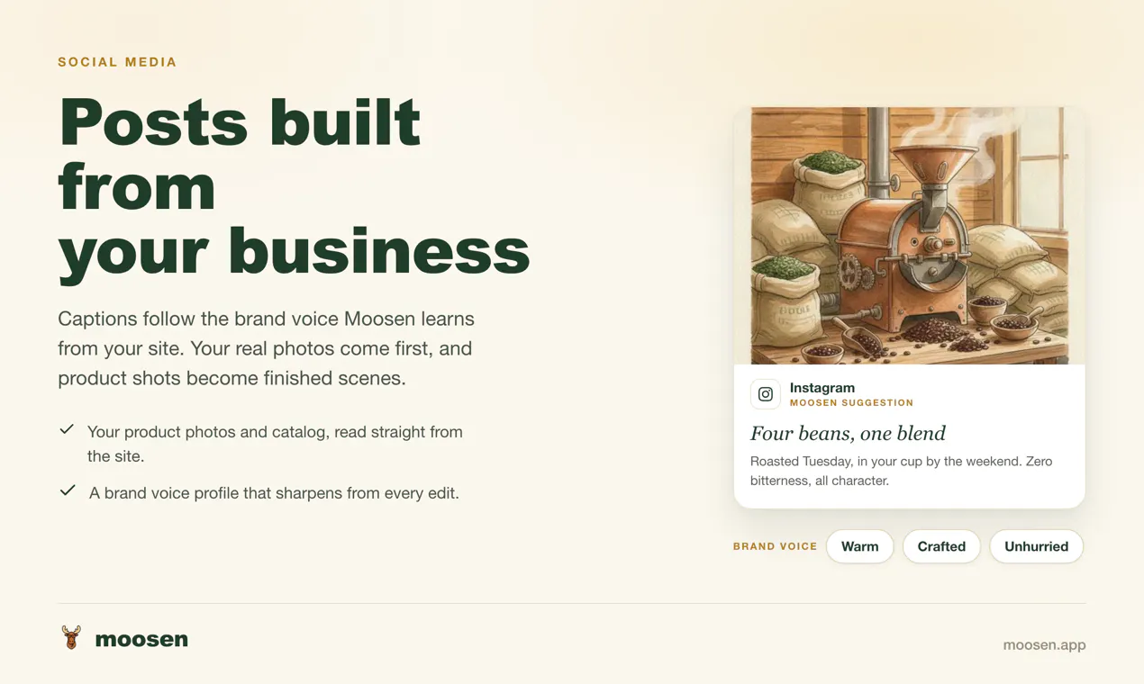 Moosen gallery image