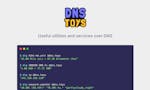 DNS toys image