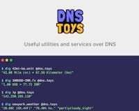 DNS toys media 1