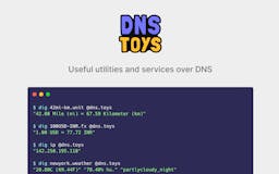 DNS toys media 1