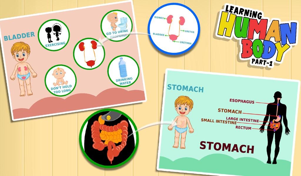 Learning Human Body Part 1 gallery image