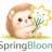 SpringBloom.AI