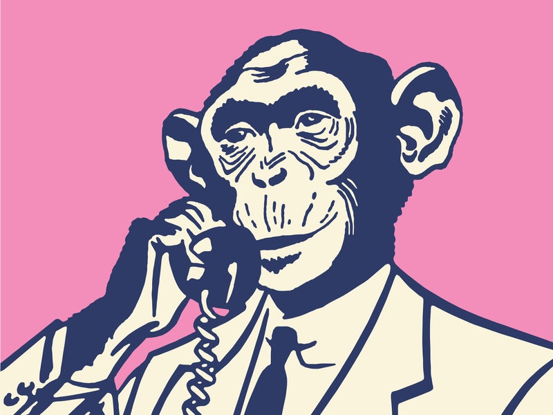 Hidden Brain - 6: The science of fear gallery image