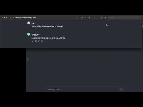 chatGPT snapshot gallery image