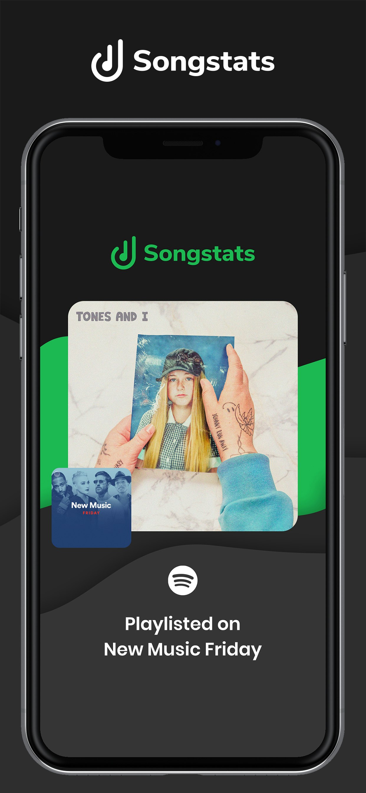 Songstats gallery image