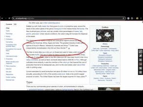 Screen Canvas gallery image