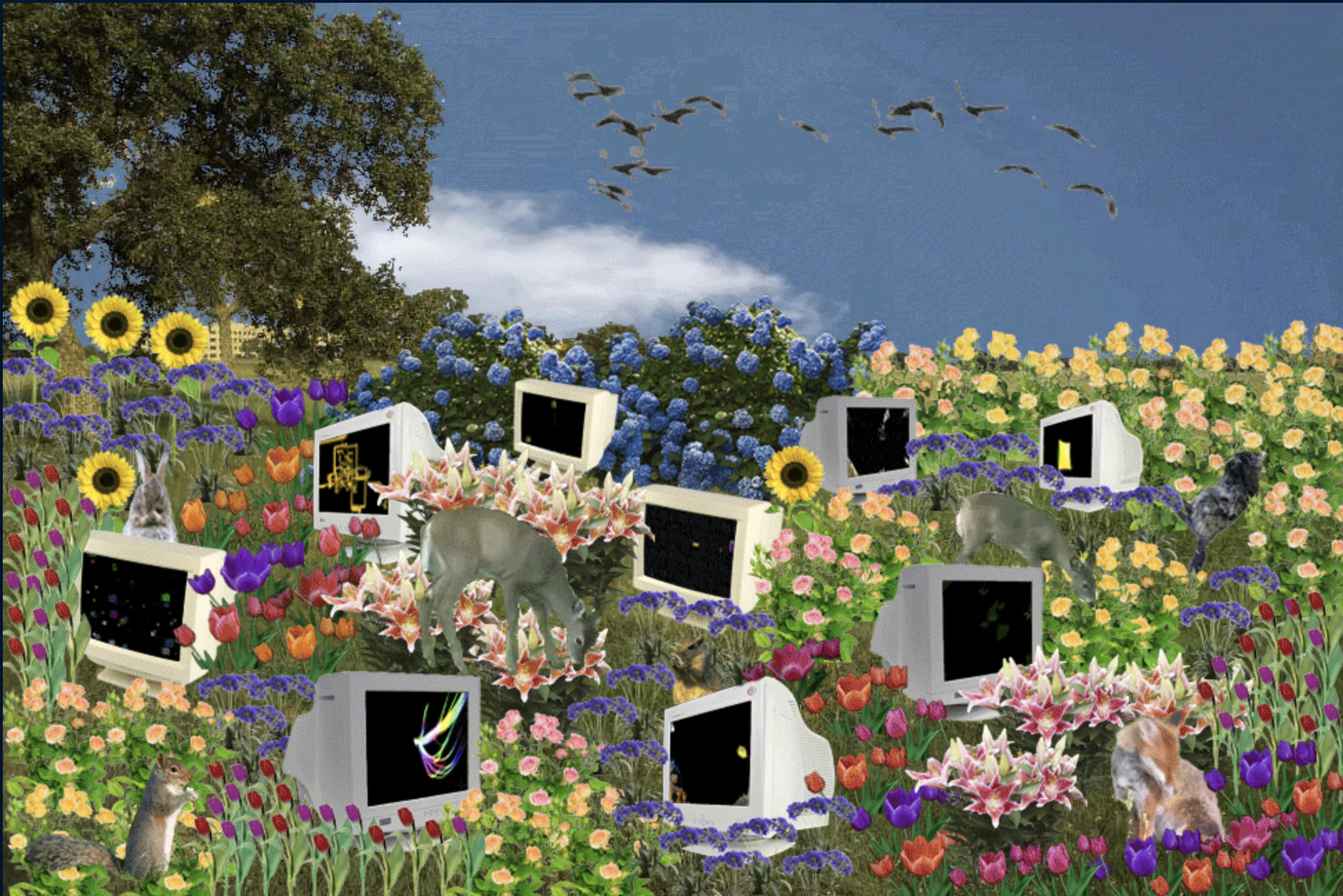 Théo Champion cover