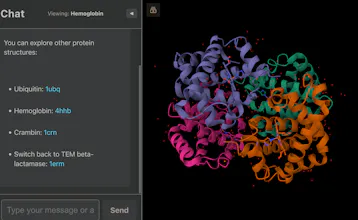 Vite + React + TS gallery image