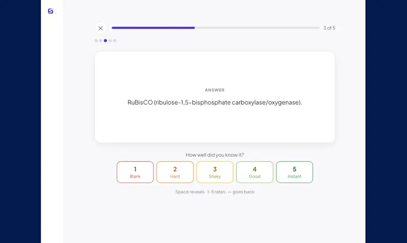 Sanviora screenshot 2