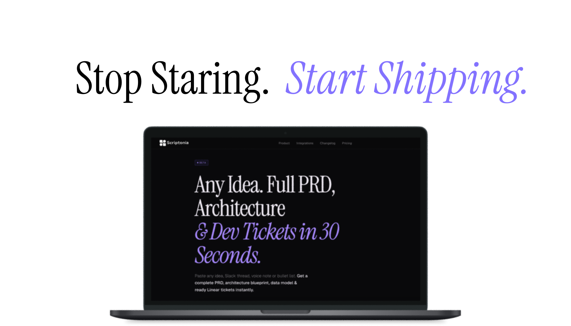 Scriptonia gallery image