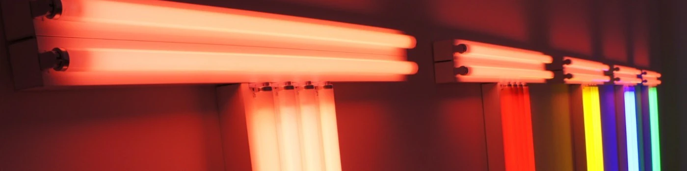 Marcio Cantelli cover