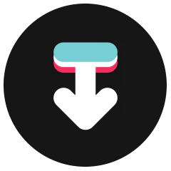 TikTok Downloader