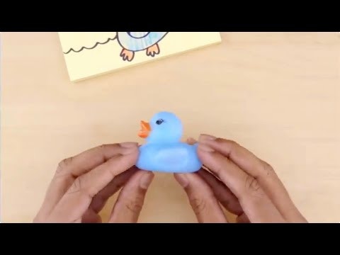 Campedia gallery image