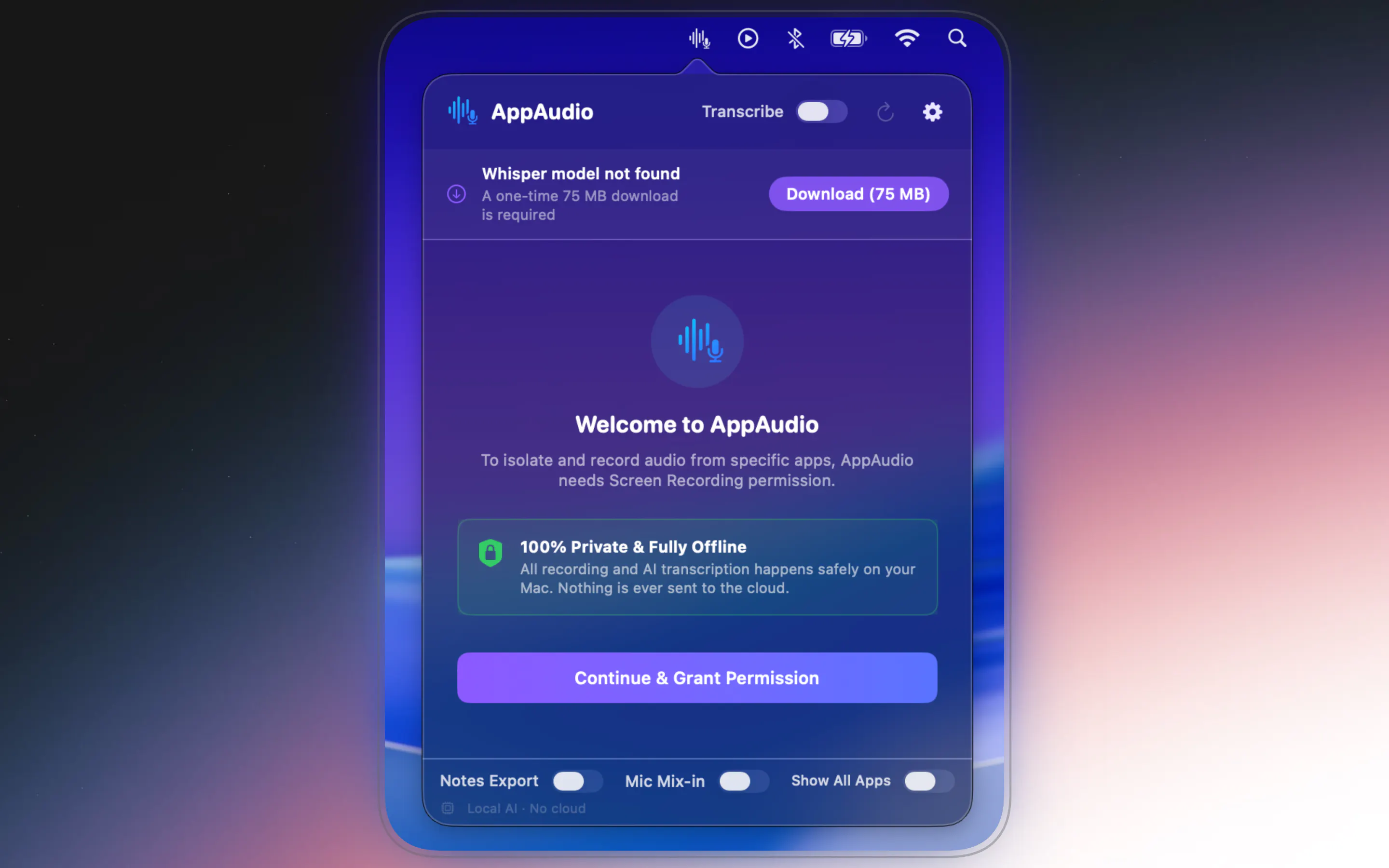 AppAudio: Record & Transcribe gallery image