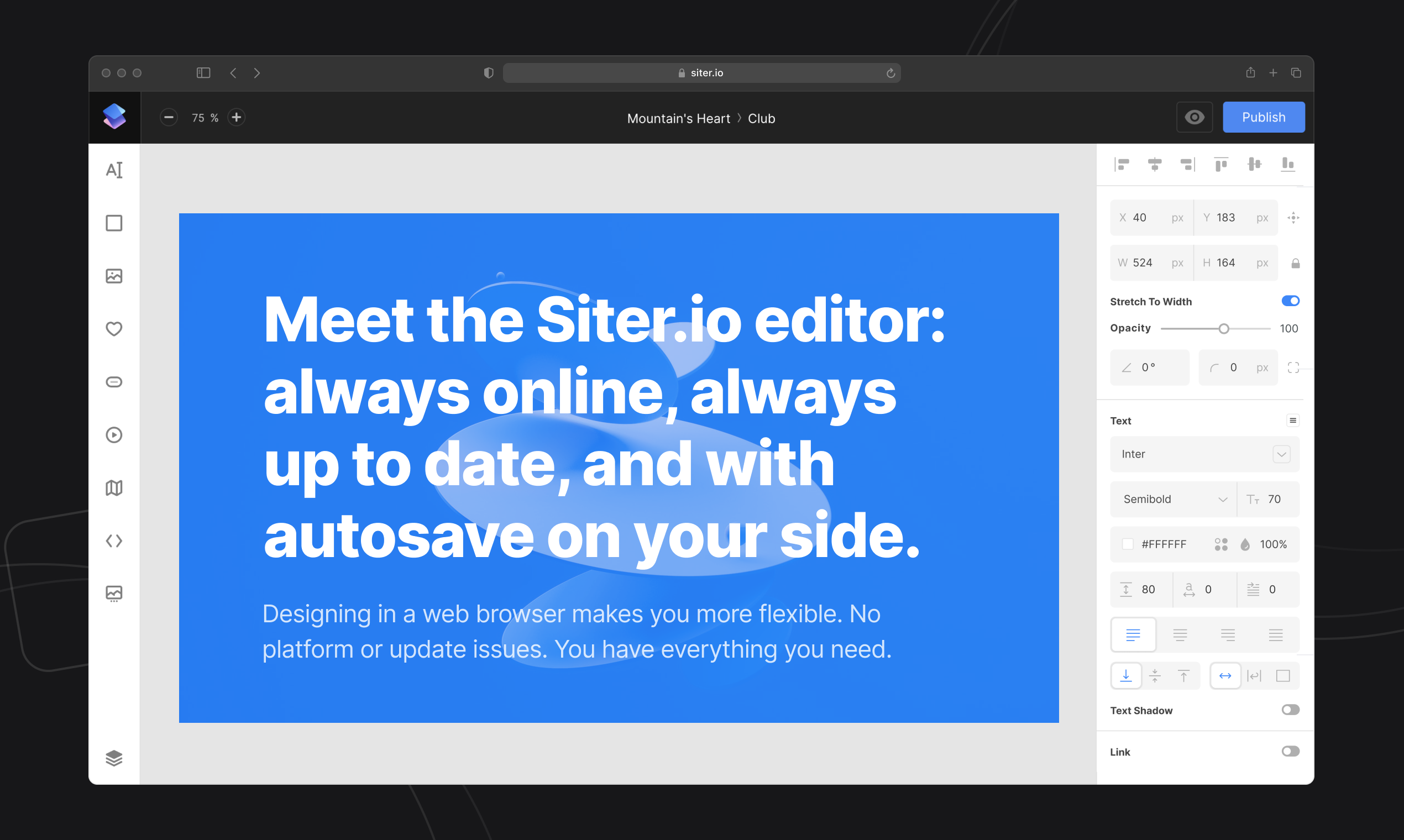 Siter.io - 프리 핸드 디자인 도구, 코드 없음 웹 사이트 빌더 미디어 3
