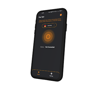 Fox VPN media 2