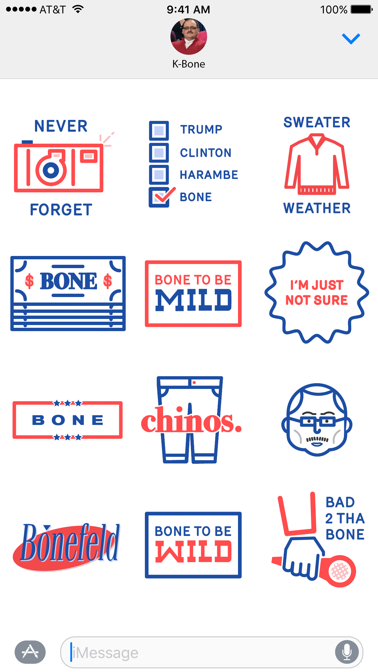 Bone In The USA gallery image