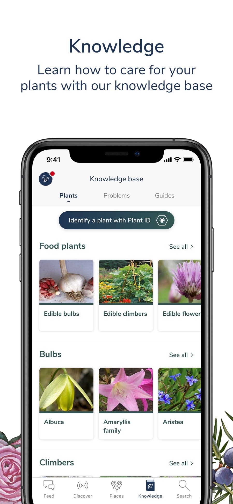 Candide gallery image