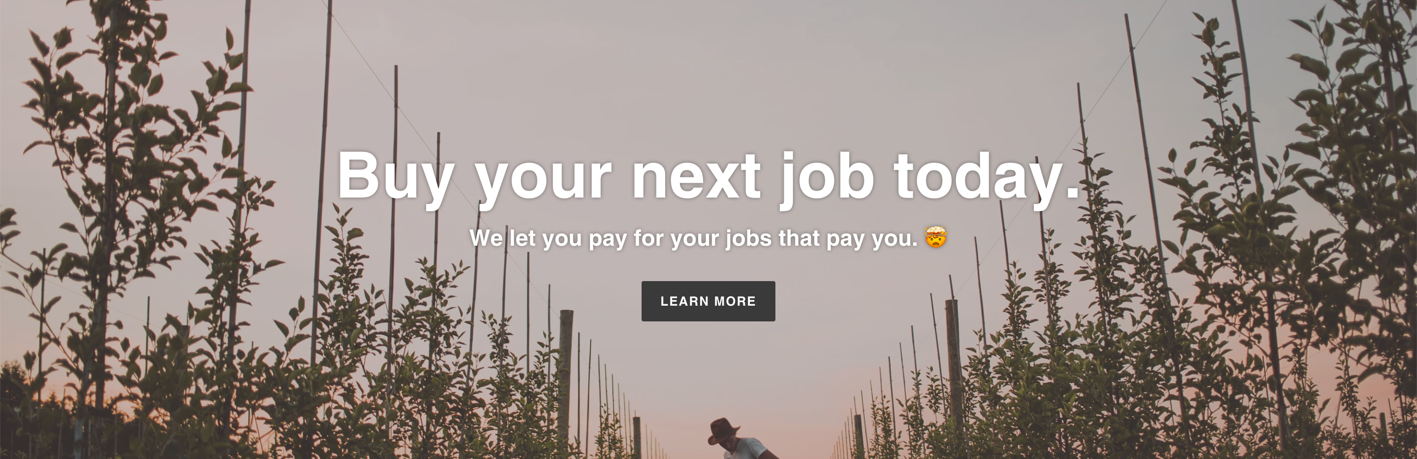 PAJ - Job Monetisation 2.0 gallery image