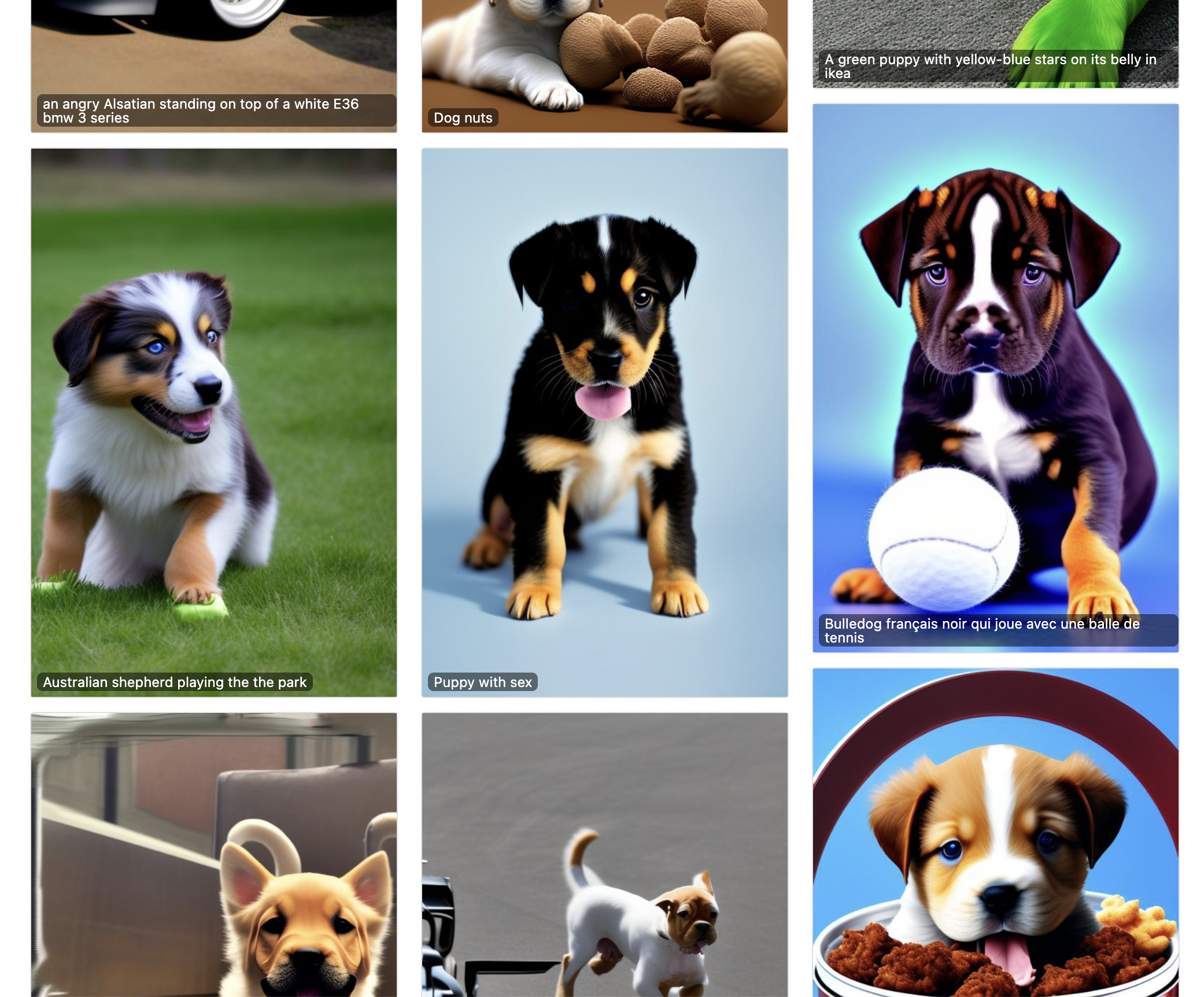 Cachorros ai media 3