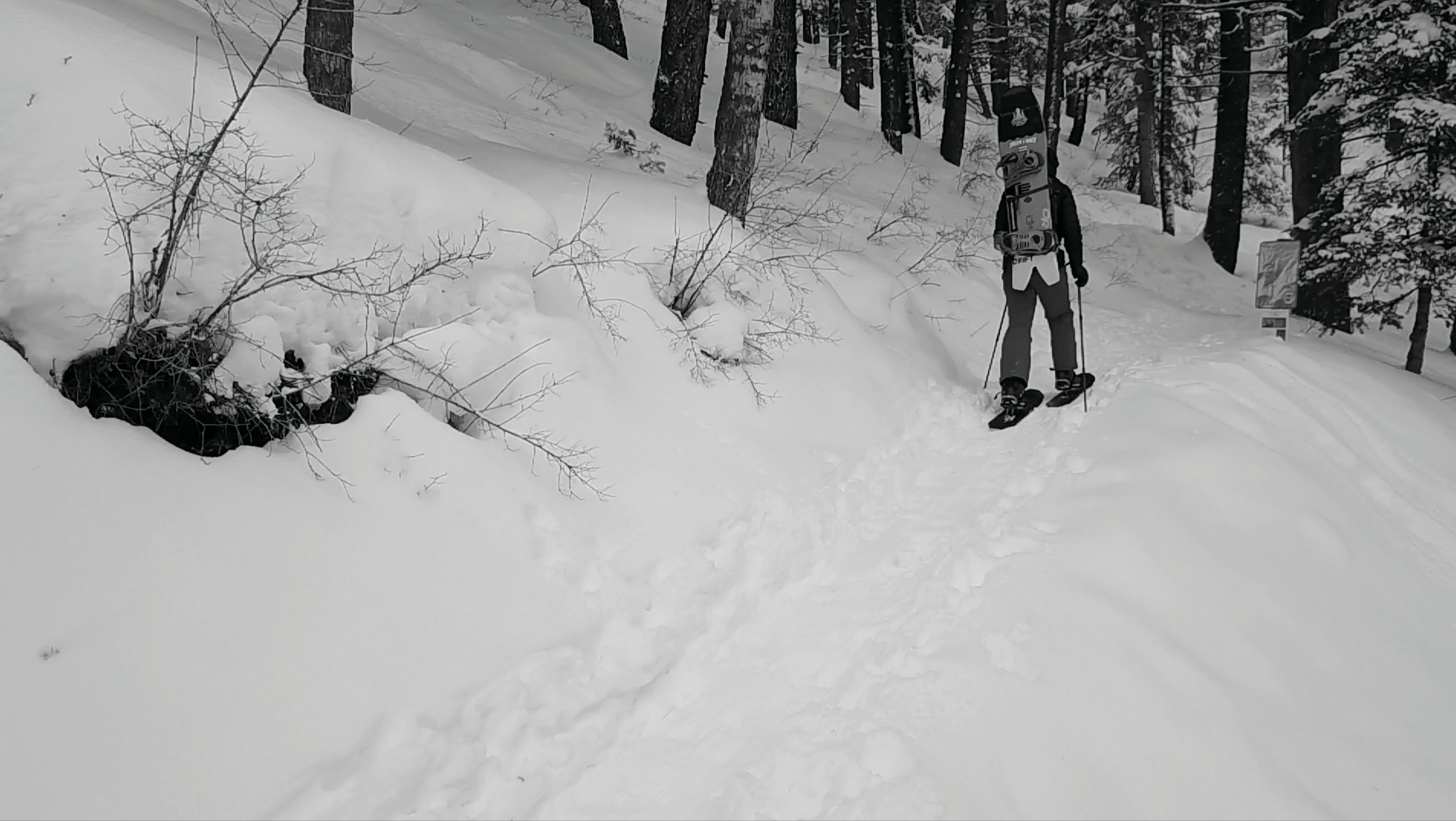 Drift Boards: Snowshoe for Snowboarders & Backcountry Travel gallery image