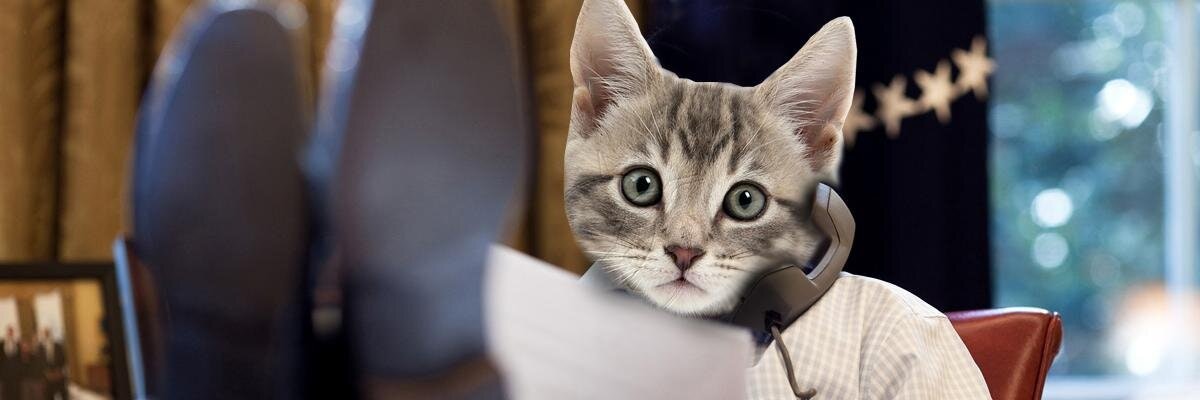 ProductHunt banner for @idiot