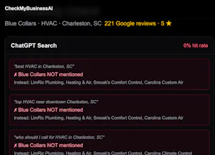 AI Visibility Audit gallery image