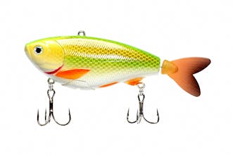 eMinnow gallery image