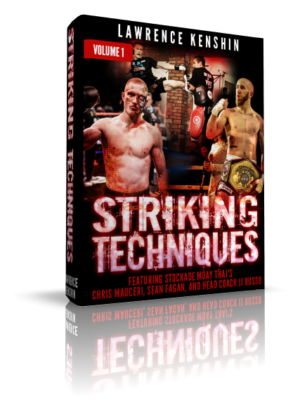 Striking Techniques  Volume. I