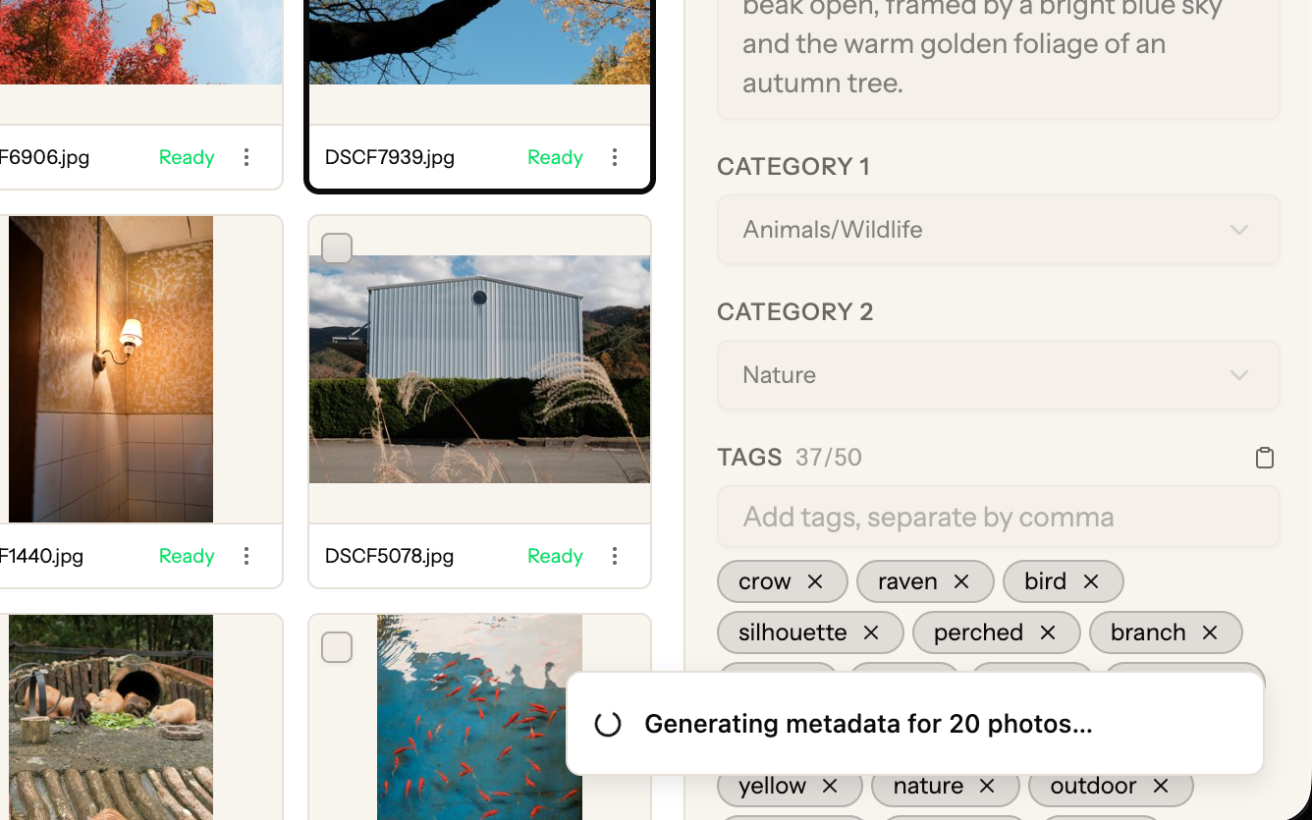 Picseta gallery image