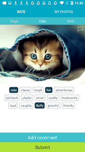 Rate My Pet gallery image