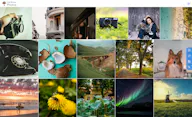 Life Minute Photos
