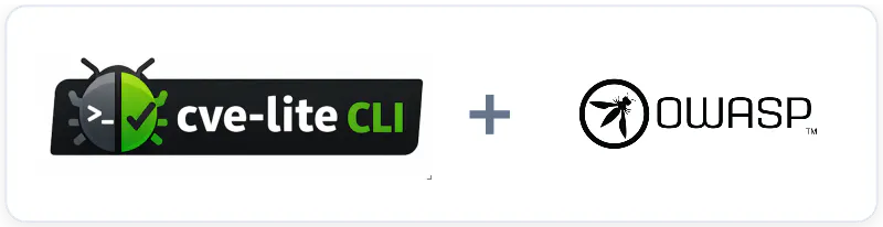 CVE Lite CLI screenshot 1