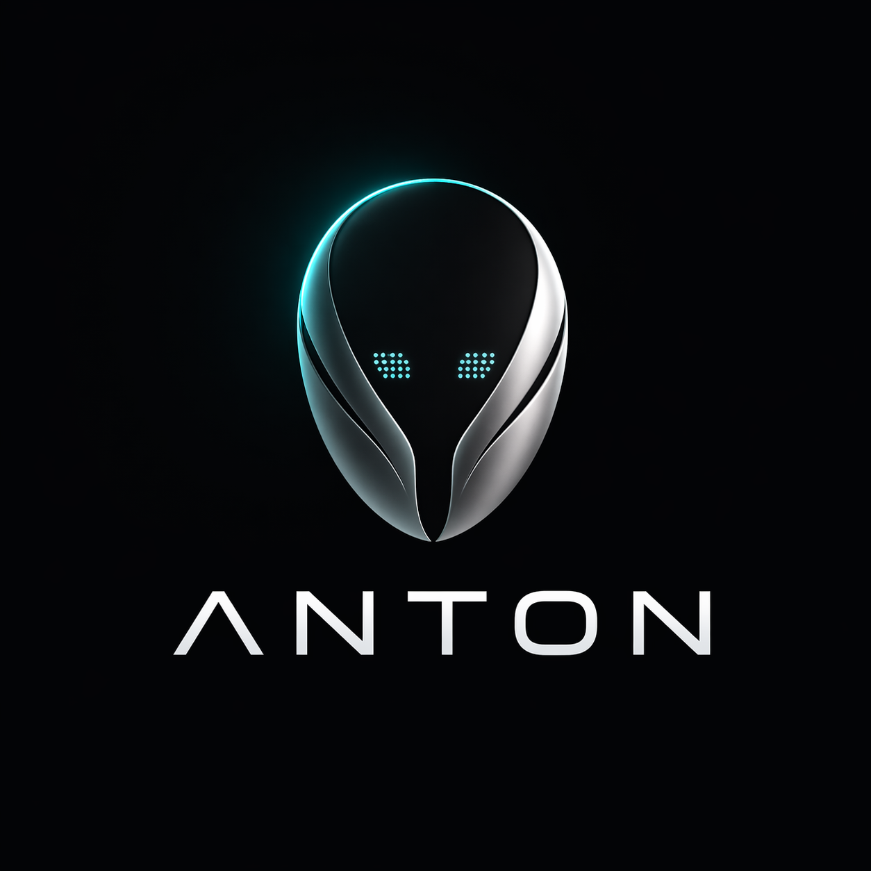 Anton gallery image