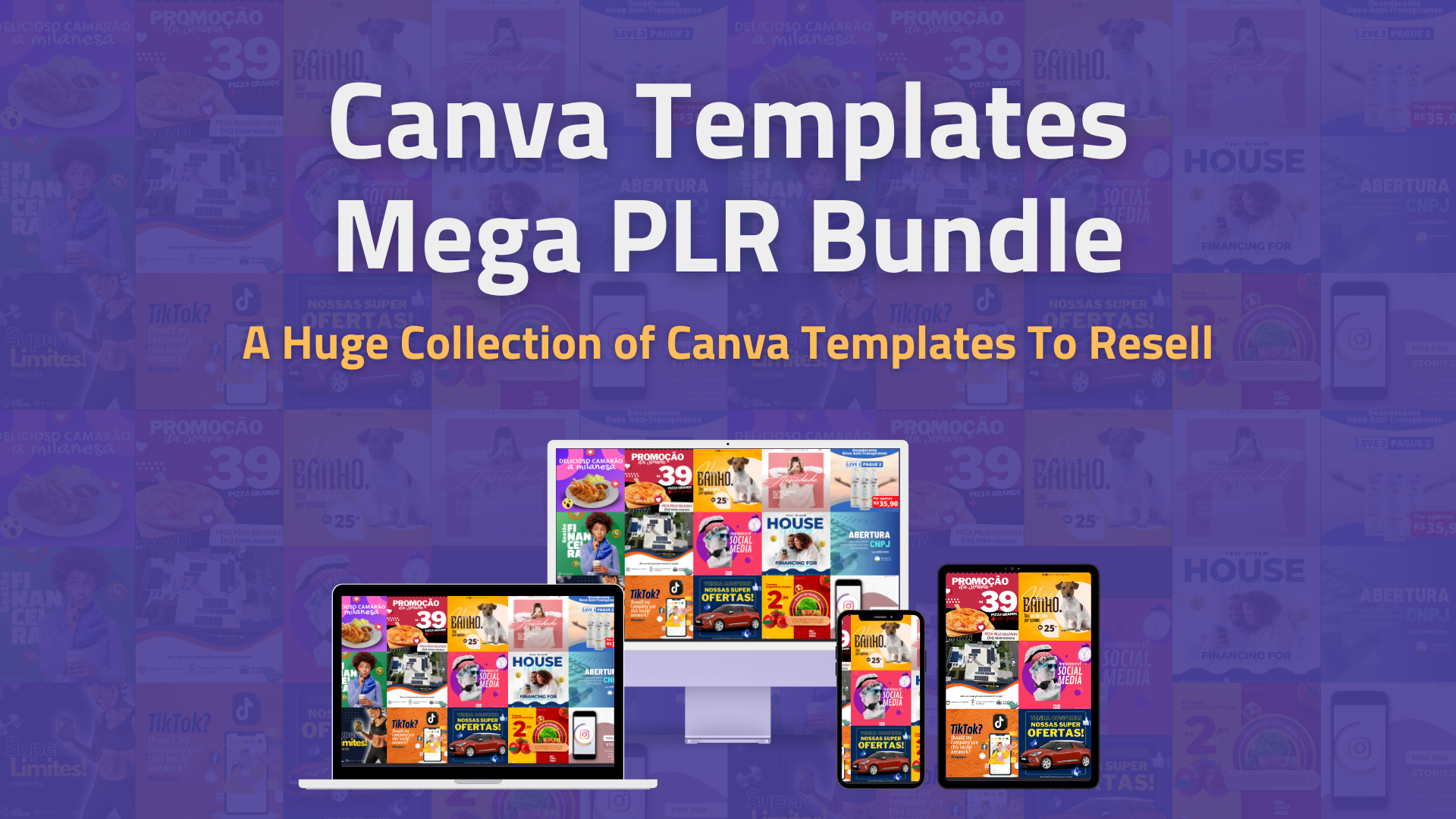 Шаблоны Canva Mega PLR - Огромная коллекция шаблонов Canva для перепродажи в 40 нишах медиа 1
