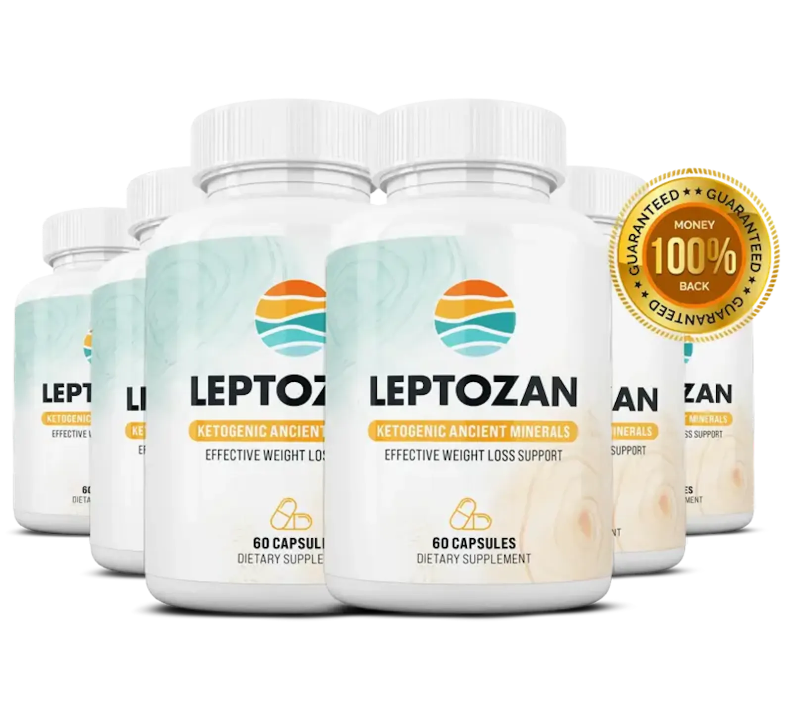 Leptozan Official screenshot 1