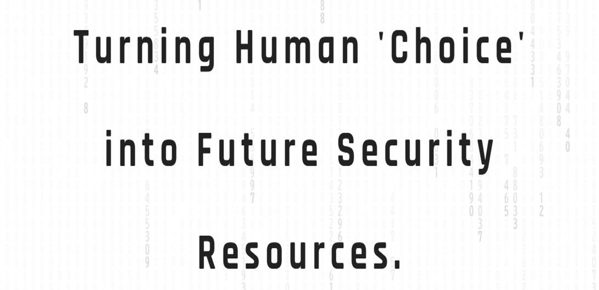 EntropyGrid（エントロピーグリッド） gallery image